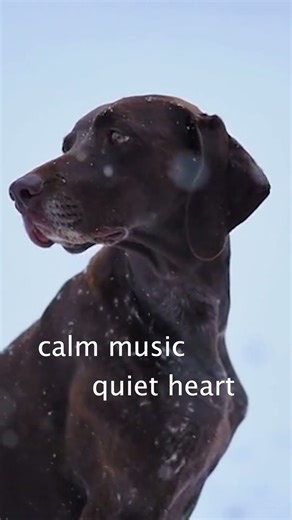 1 Hour of Soothing Holiday Music