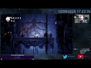 Le chevalier est vide | Hollow Knight part. 1