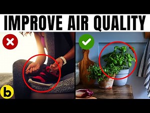 17 Effective Ways To Improve Air Quality In Your Home