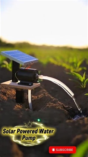 DIY Solar Powered Water Pump 🌱 | Mini Irrigation Experiment#SolarPowered#DIYWaterPump#MiniIrrigation