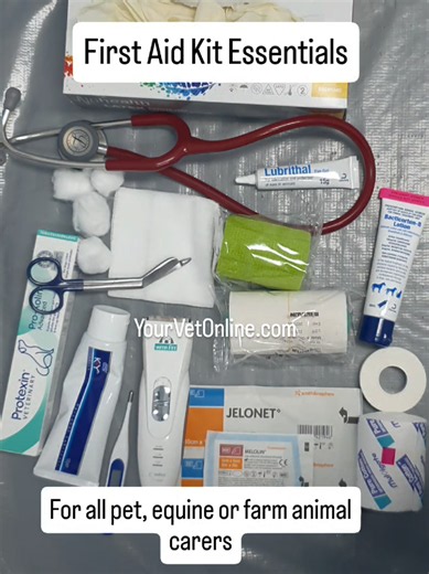 Every animal carer needs a basic first aid kit ready before an emergency happens. Whether you care for dogs, cats, horses, rabbits, guinea pigs, birds or other pets, having the right supplies on hand can help you stay calm, protect a wound, control minor bleeding, check vital signs while you either get your animal safely to vet care or talk to an online vet. Your animal first aid kit should include: Disposable gloves A torch Digital thermometer Blunt bandage scissors Cotton wool or gauze roll No