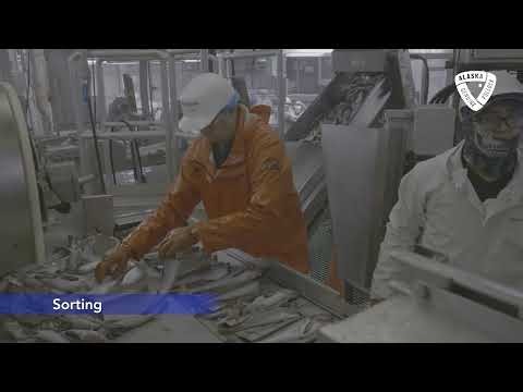 Surimi Production--From Start to Finish