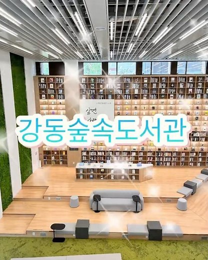 강동숲속도서관 내부 공개!! #강동구립도서관 #강동숲속도서관 #숲속도서관
