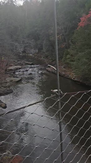 Tom Noonan on Reels | Facebook