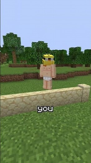 I found the tallest block in Minecraft
