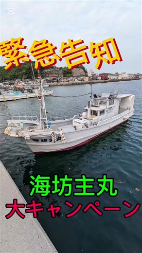 天草で楽しむ釣りイベントの魅力