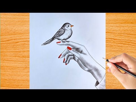 Draw a Realistic Bird on Hand | Pencil Sketch Tutorial 
