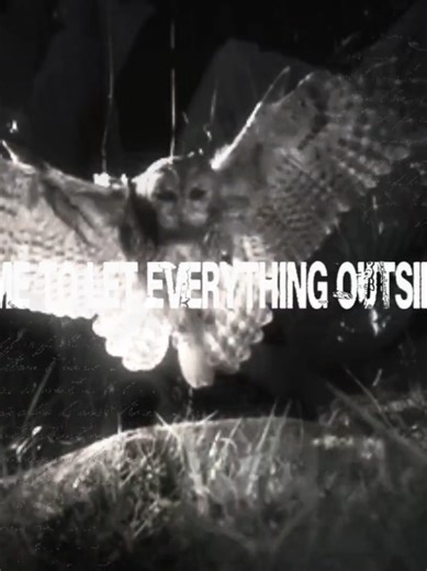 Leathers - Deftones #leathers #deftones #song