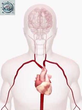 Why Do We Faint? Understanding Syncope and What Causes It"
