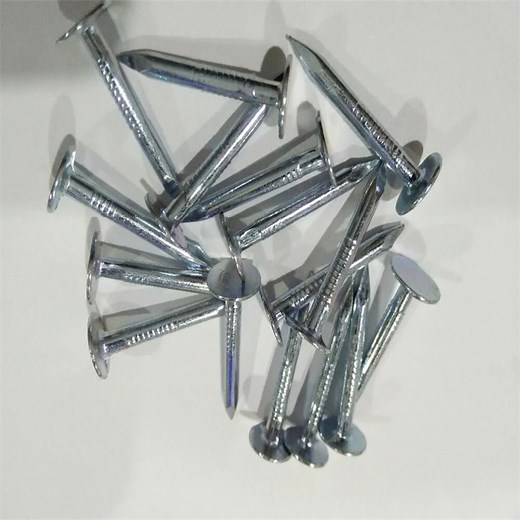 [Hot Item] Galvanized Clout Nails for Building and Construction