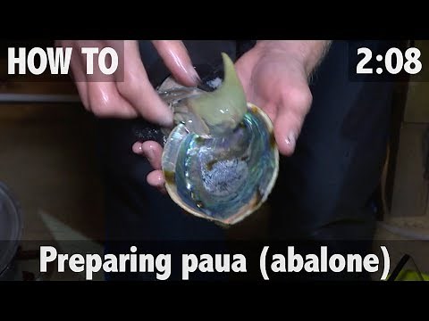 How to Prepare Paua (Abalome)