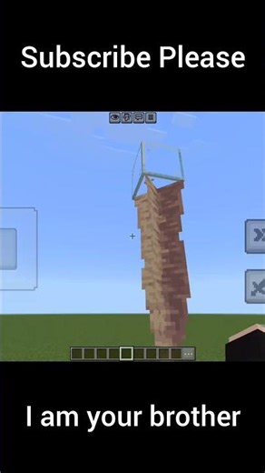 Strange Turtle Egg Logic 🤯