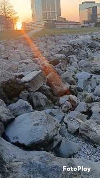 Walking on Sea Shells #phish #lakepontchartrain