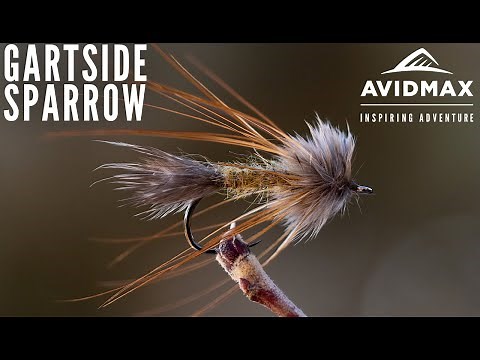 How to tie The Gartside Sparrow | AvidMax Fly Tying Tuesday Tutorials
