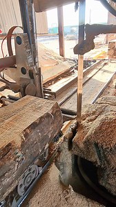 Advanced Timber Processing for Durable Construction Boards | Herox7