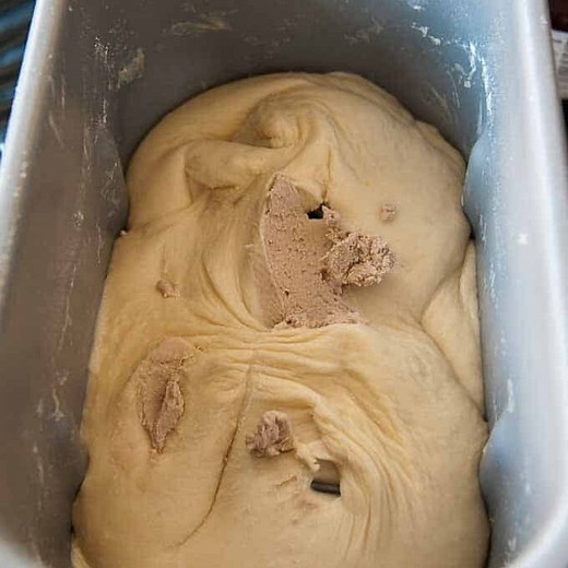 Forgot to Add Yeast? How to Save Your Bread Dough