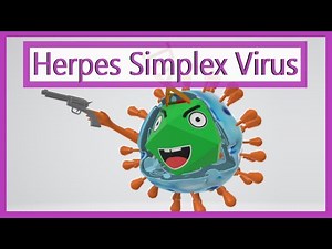 Herpes Simplex Virus (HSV) - Types 1 & 2