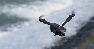 Falcon Mini - First V-Shaped Bi-Copter under 250g by V-Copter - Indiegogo