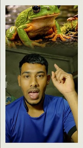 🐸 “Amphi Vocabulary 🌿 | Learn English with Examples” ‪@basudebmondal24‬
