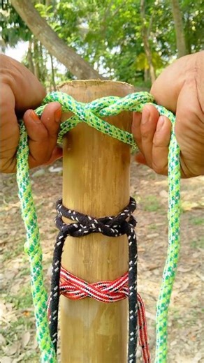 Best Rope Knots for Beginners (Fast & Easy Tutorial) #HowTo #DIY #CampingLife #SurvivalGuide