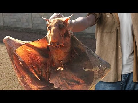 Strange New Species Scientists Recently Discovered