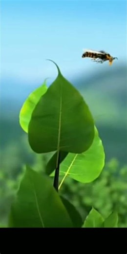 How do Plants Reproduce? 🌸 (Simple Trick) #Science #facts