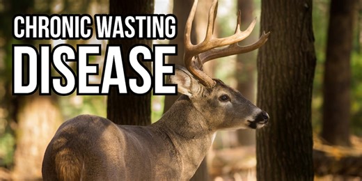 Kentucky Fish and Wildlife expands disease surveillance zone