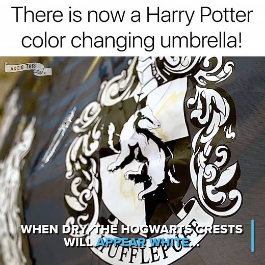 331K views · 3.2K reactions | Color Changing Umbrella Get yours here: https://www.acciothis.com/products/crest-liquid-reactive-umbrella?ref=6 | MetDaan Creative | Facebook