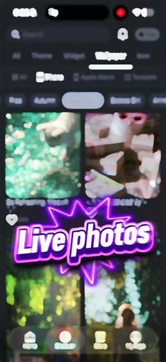 iPhone / iPad PhotoWidget App