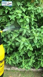 Hand Manual Spry Shower Can https://wa.me/923008626064 https://wa.me/923008626170 https://sobyagro.co/ | Soby Agro Machinery