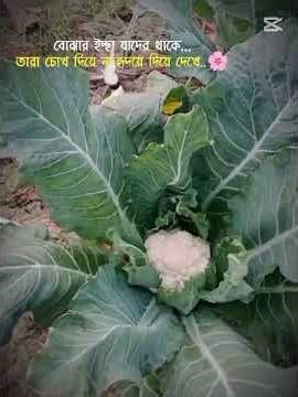 Right 👍#viral #love #viralvideo #viralshorts #video #short #shortvideo #music