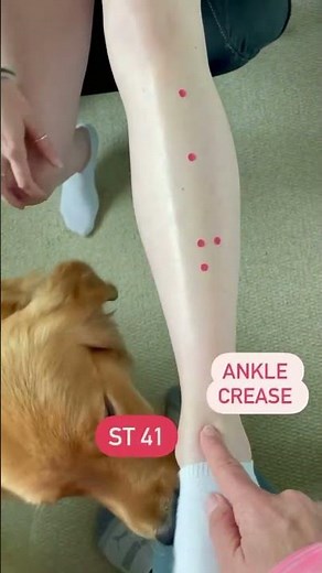 Acupuncture Points Location for ST 35 to ST 40 #acupuncturepoints