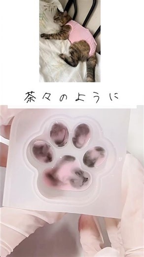 A request from someone who lost a beloved family member... A paw print herbarium and portrait mad...