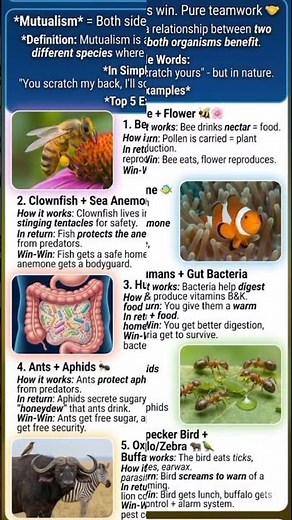 Nature's Teamwork: Bee & Flower, Clownfish & Anemone, Ants & Aphids – Mutualism Examples