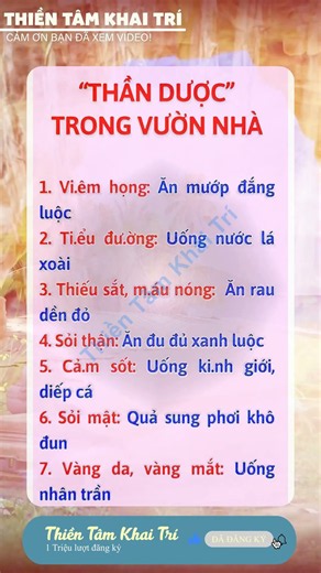 Thiền tâm khai trí: Bước đột phá giúp bạn vượt qua mọi giới hạn, khai mở trí tuệ phi thường.
