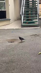 A regarder avec le son 😁😁 | Passe Moi Le Geek