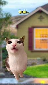 560K views · 12K reactions | Professor Of LOGIC 凉 (Cat Meme) | Shercat Holmes | Facebook