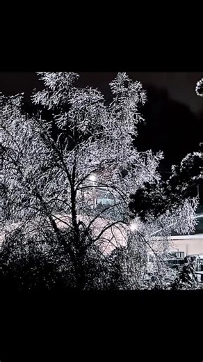 Christopher miller (@christophermiller0000)’s videos with original sound - Christopher miller