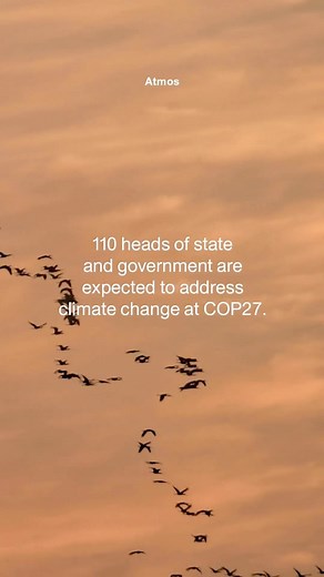 FEMINIST on Instagram: "7 out of 110 heads of state at this years #COP27 are women. ⚠️ if we want real climate solutions more women need to be at the table. 🎞💬 by @atmos “A common theme at COP has reemerged this year—underrepresentation.” “Climate science and environmental politics are industries dominated by men, yet it’s women that are leading the climate revolution. In addition to being more affected by climate change than men, with a projected 80% of climate refugees being women, countries