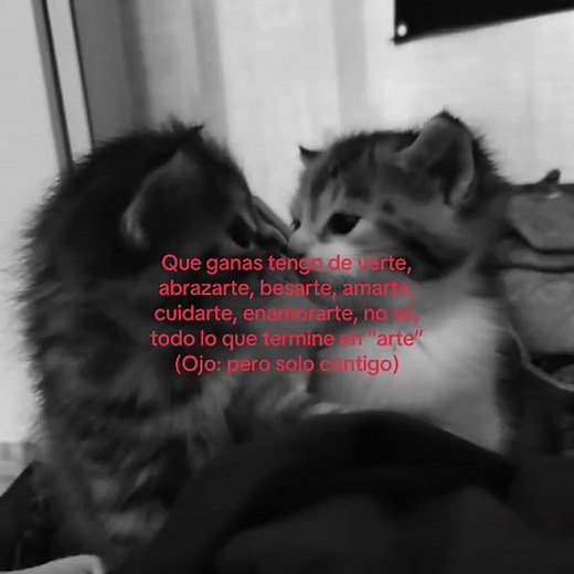 Cosas que deseo hacer contigo: frases entrañables