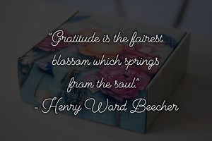 4.2K views · 164 reactions | Coming oh-so very soon! Our take on an...