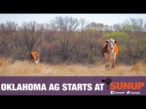 SUNUP Full Show (Nov. 22, 2025)