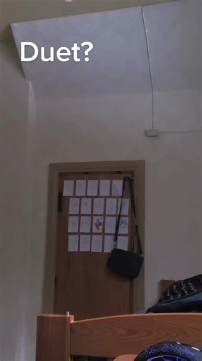 Colorful Handmade Paper Puppets Duet Performance