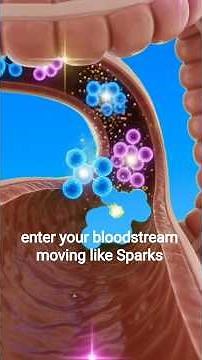 What Happens Inside Your Body After the FIRST Sip of Alcohol?(Mind-Blowing 3D Visuals)#bodyfacts#fyp