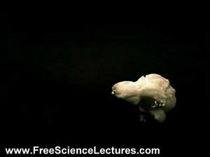 Popcorn Bursting in Slow Motion