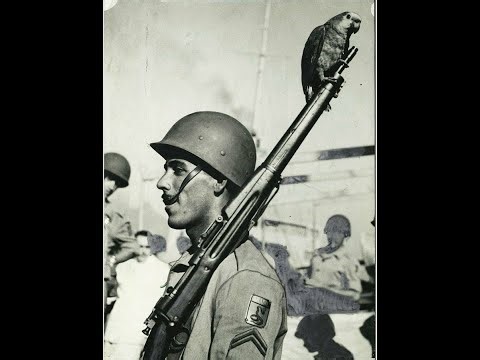 Armas usadas pela Infantaria Brasileira na Segunda Guerra Mundial (Remake)