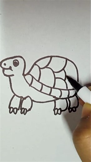 tortoise drawing.how to draw a tortoise.