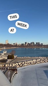 More to explore this week! Animal encounters are back! | Discovery World