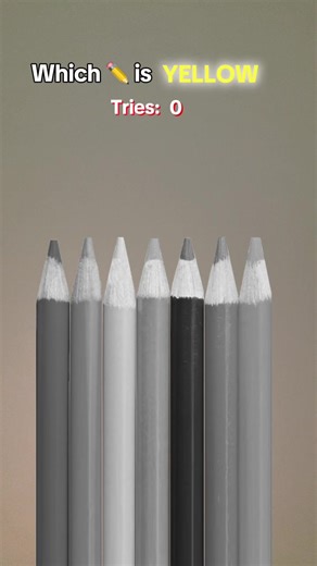 All i want for Christmas is you - jea7lousを使っている🐈🐈ネコ🐈‍⬛🐈 (@neko_neko_neko_rest)の動画