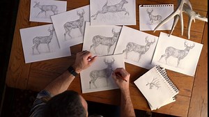 "The Growth & Maturity of the White-tailed Buck" Fine Art Paper Print